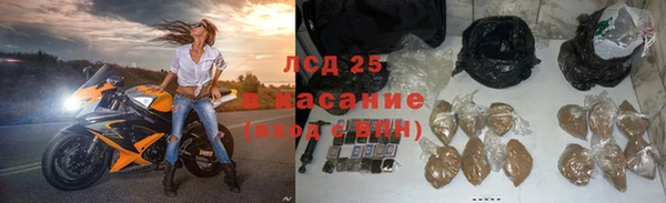 гашик Горняк