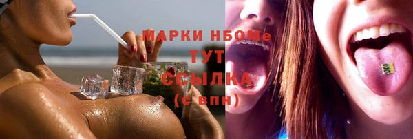 гидра Горнозаводск