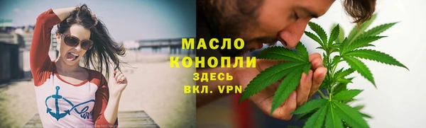 гидра Горнозаводск
