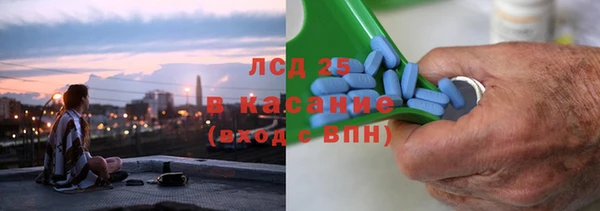 гашик Горняк
