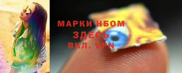 гидра Горнозаводск