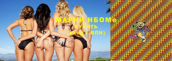 гашик Горняк