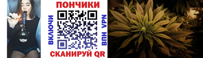 где найти наркотики  Новоржев  Канабис марихуана 